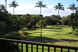 3 Bedroom Deluxe Maui Condo, dogs allowed vacation rentals in Kihei, Hawaii, Kihei pet friendly rentals