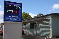 At Home Animal Hospital and Mobile Vet Services, vets near kihei, maui veterinarians
