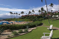 Fairmont Kea Lani Maui, pet friendly hotel in kihei hawaii, dog friendly maui hotels