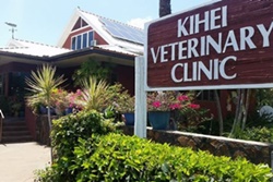 Kihei Veterinary Clinic, vets near kihei, maui veterinarians