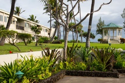Maui Beach Hotel, pet friendly hotel in kihei hawaii, dog friendly maui hotels