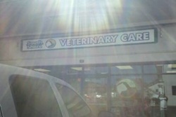 South Shore Veterinary Care, vets near kihei, maui veterinarians
